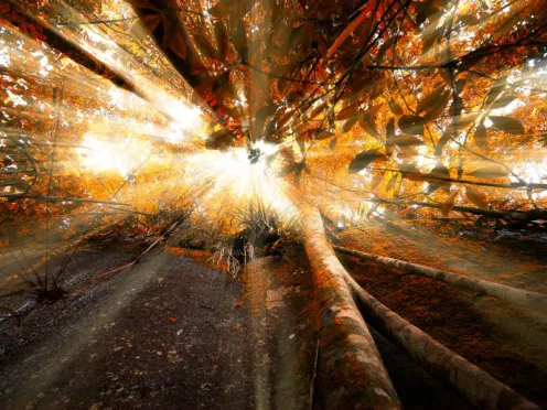 esperimento di gruppo in metafonia esperimento di gruppo in metafonia.