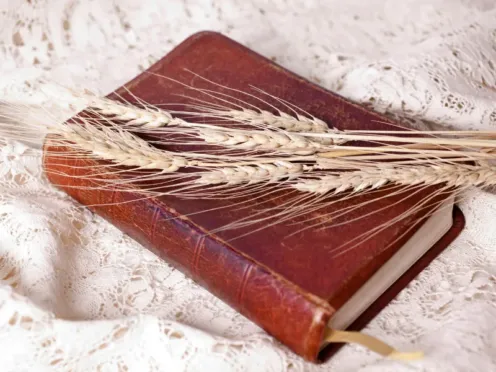 la magia dei salmi in metafonia la magia dei salmi in metafonia