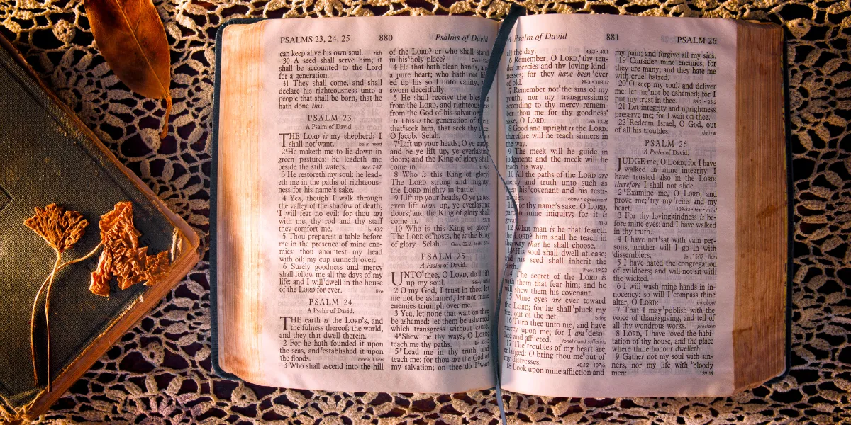 metafonia- la magia dei salmi.